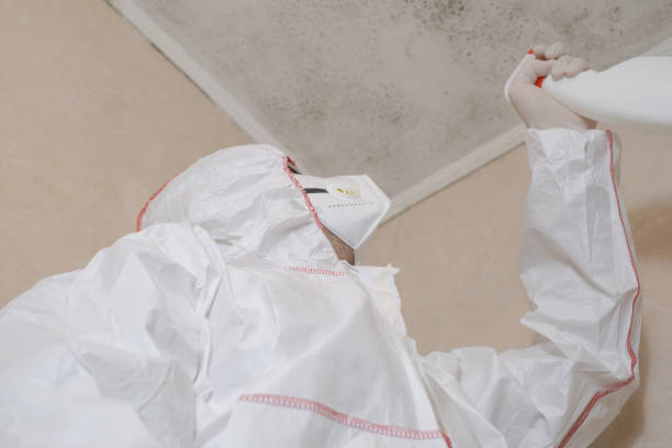 Best Certified Mold Removal  in Eagar, AZ
