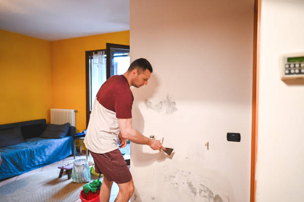 Best Home Mold Removal  in Eagar, AZ